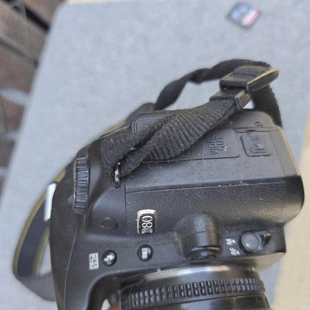 Nikon D80 10.2MP Digital SLR Camera Kit with 18-135mm AF-S DX Zoom-Nikkor Lens